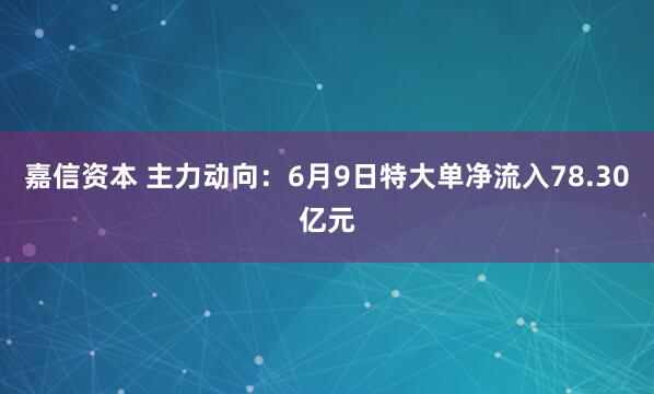 嘉信资本 主力动向：6月9日特大单净流入78.30亿元