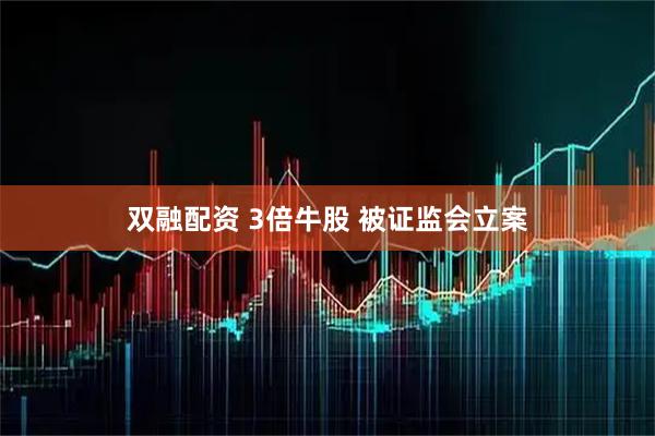 双融配资 3倍牛股 被证监会立案