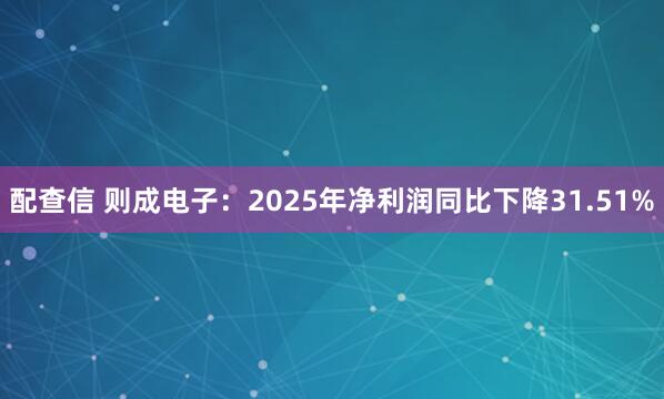 配查信 则成电子：2025年净利润同比下降31.51%