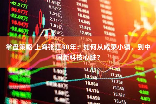 掌盘策略 上海张江30年：如何从咸菜小镇，到中国新科技心脏？
